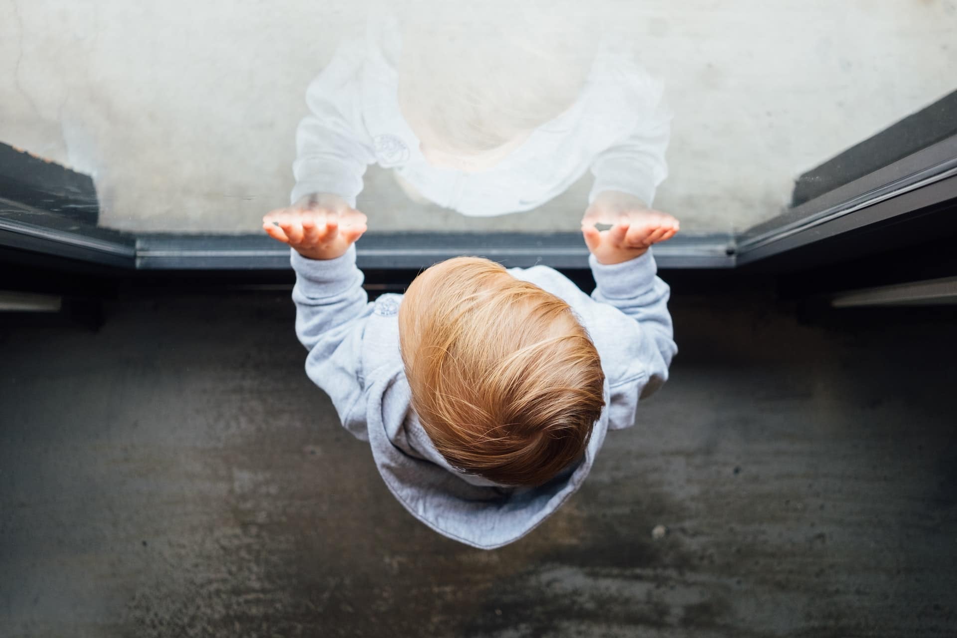 Mooi en lief peutertje overlijdt na uit elkaar te zijn gerukt door nieuwe familiehond