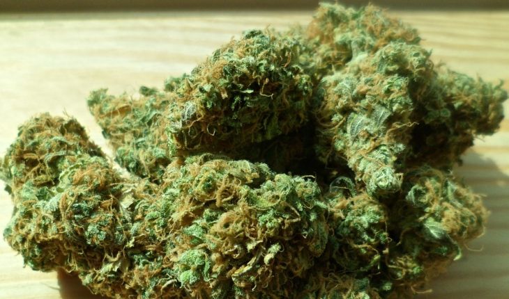 cannabis 448661 960 720hennep marihuana jamu yami | GFC