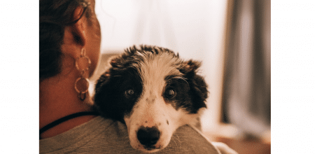 hond dier vrouw meisje