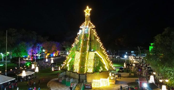 kerstboom plein