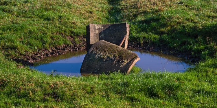 water put