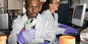 lab arts doktoren virus