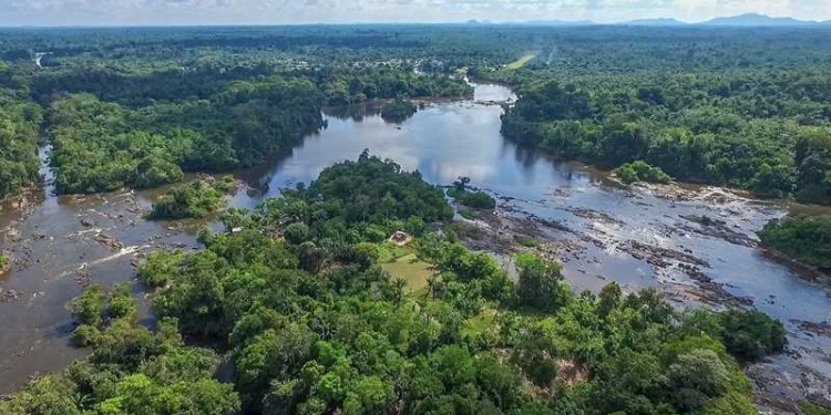 natuur suriname