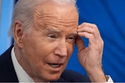 biden in de war