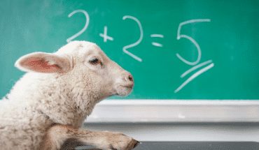 dom1 | GFC Nieuws