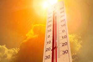 hittegolf droogte temperatuur hitte | GFC
