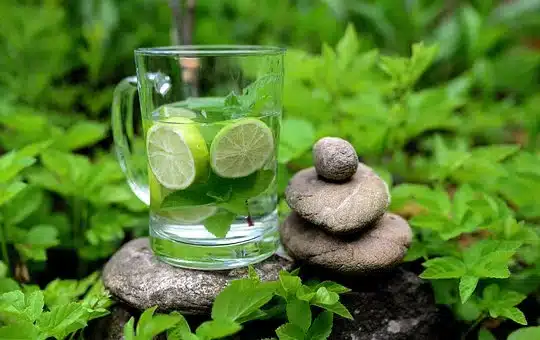 mint 5239188  340detox kuur