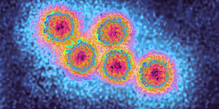 virus hepatitis