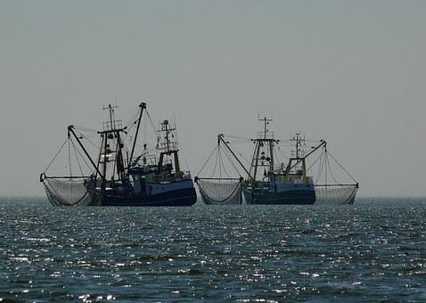 vissersboten
