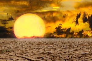 klimaatverandering natuur zon hitte droogte