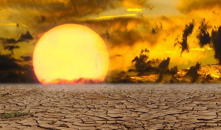 klimaatverandering natuur zon hitte droogte