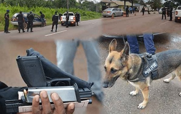 politie kps crime