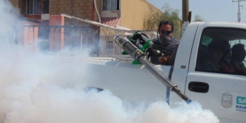 insect pesticide dengue bespuiten muskiet