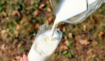 Melk