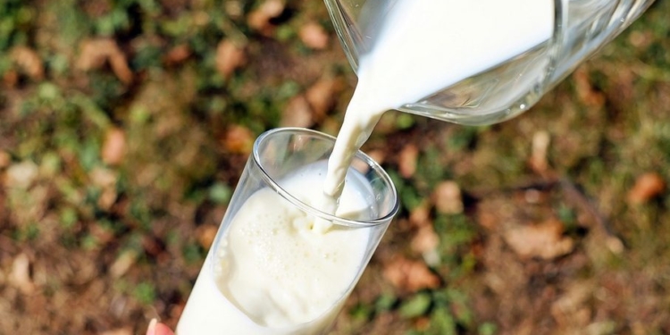 melk 2
