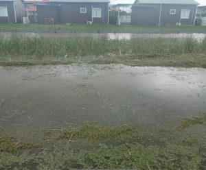 powisietr onder water
