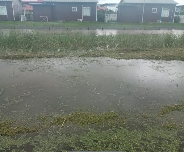 powisietr onder water