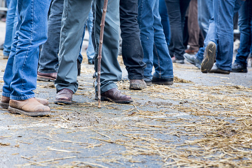 protest boeren