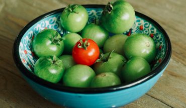tomaat groen | GFC Nieuws