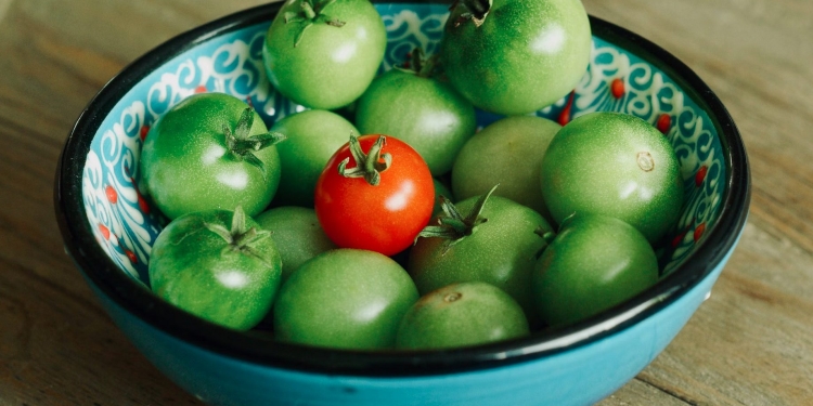tomaat groen