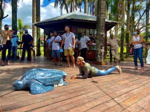 zeeschildpad | GFC Nieuws