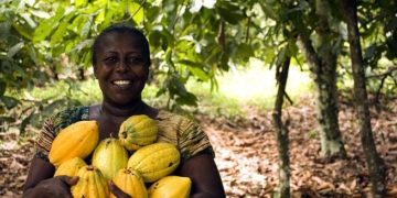 fruit 3247447  480agrirische sector agribusiness fruit eten voeding landbouw