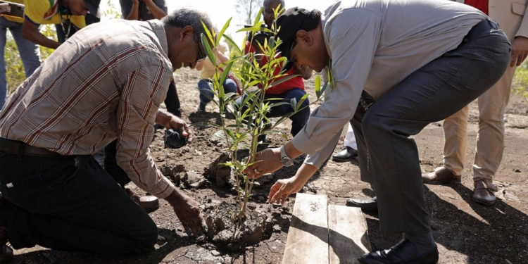mangrove professor naipal en santokhi