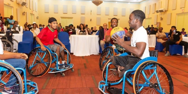 mensen met een beperking rolstoel handicap