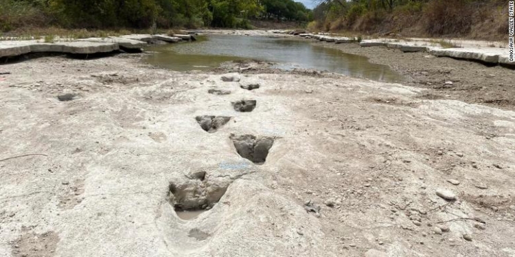 220823035010 02 dinosaur tracks discovered texas park exlarge 169