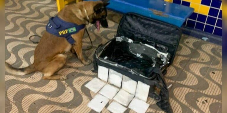 Braziliaanse politie arresteert vrouw uit Suriname met 1 kg cocaine in koffer 768x432 1