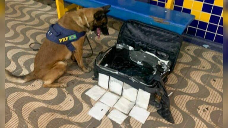 Braziliaanse politie arresteert vrouw uit Suriname met 1 kg cocaine in koffer 768x432 1