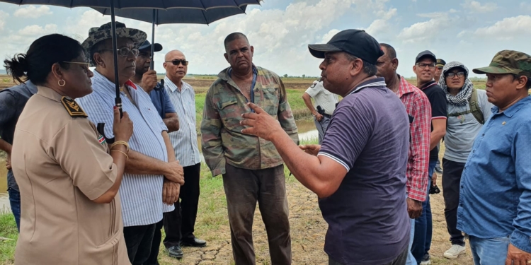 sewdien en dc nickerie boeren
