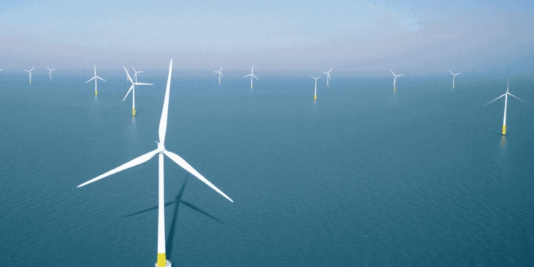 windenergie bedrijven toekomst