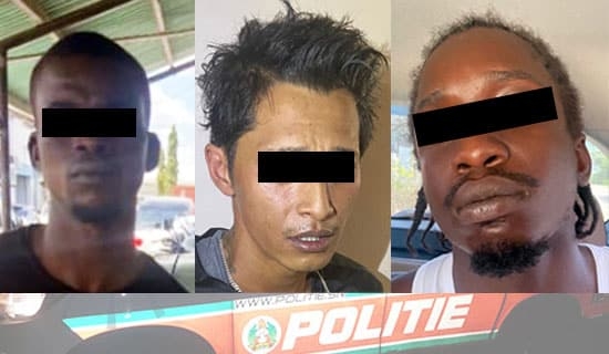 criminelen crime politie aanhouding gevang