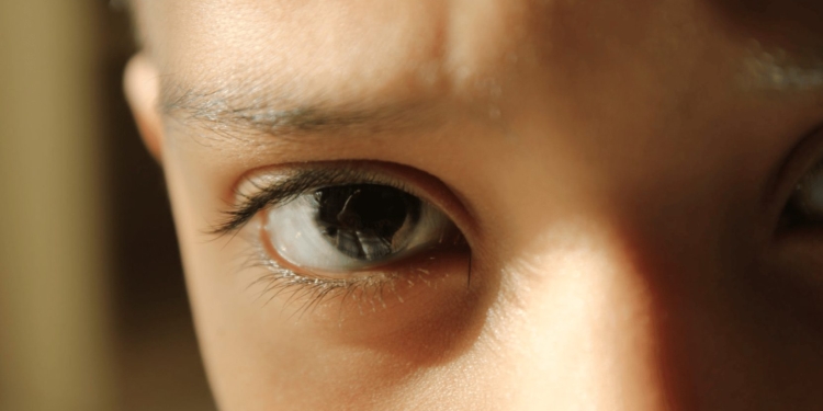 jongen oog