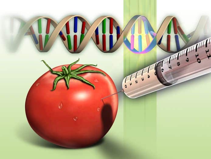 Nationale Bioveiligheid Implementatieplan moet leiden tot minder genetisch gemanipuleerde voeding