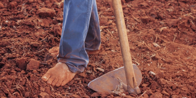 schop tuin begraven werken
