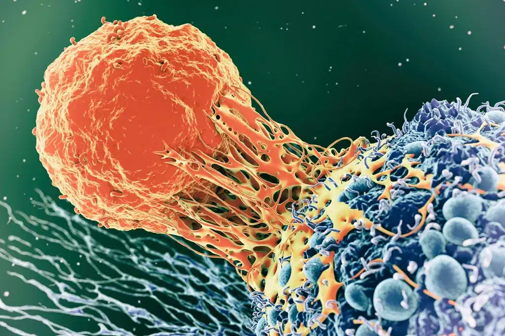 Cancer Immunity Illustration kanker chemotherapie