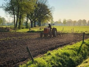 agrobosbouw landbouw planten agrarische sector | GFC
