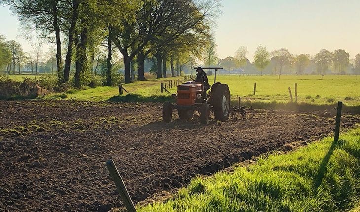 agrobosbouw landbouw planten agrarische sector | GFC