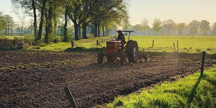 agrobosbouw landbouw planten agrarische sector