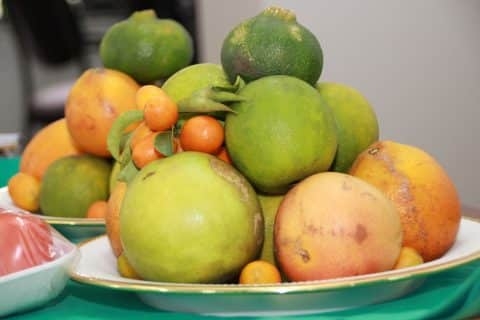 fruit vruchten