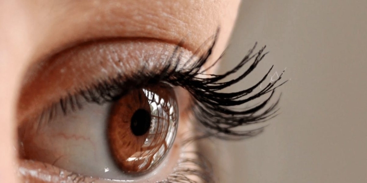 oog