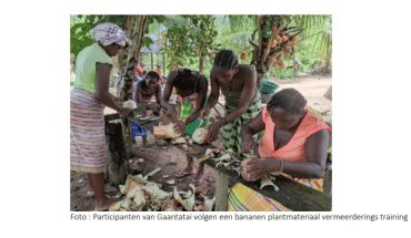 vrouwen binnenland landbouw agrarische sector | GFC Nieuws