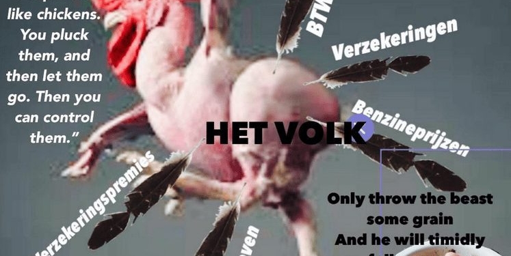 kaalpluk kip