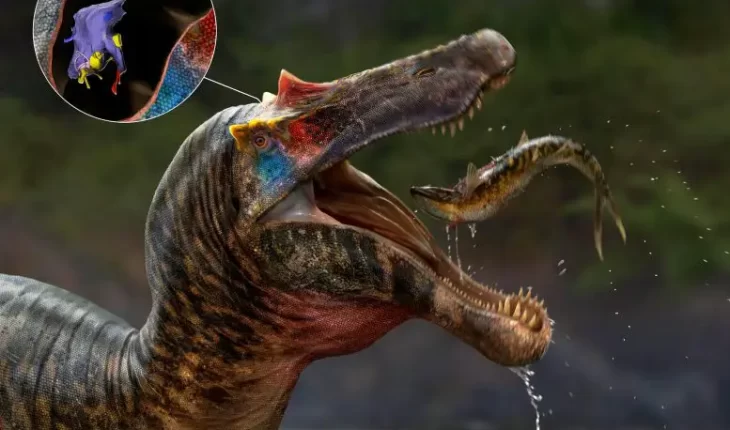 Ceratosuchops Spinosaurid Artists Impression 777x645 1 | GFC