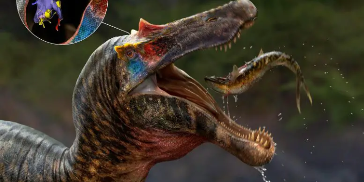 Ceratosuchops Spinosaurid Artists Impression 777x645 1