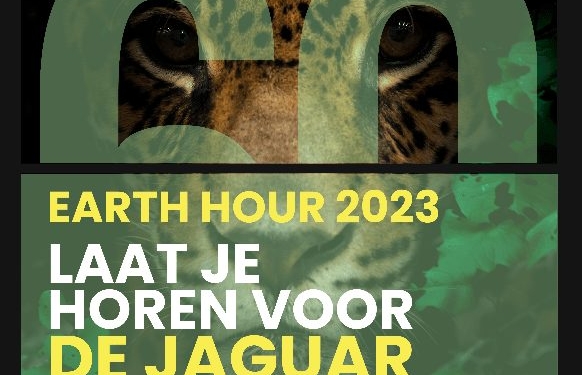 earth hour