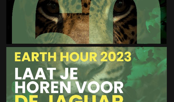 earth hour | GFC