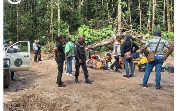 natuurbeheer lbb en sbb hout bos